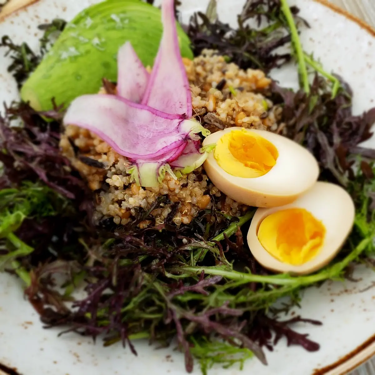 Ancient Grain Bowl