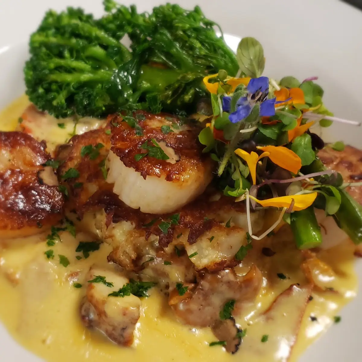Seared Scallops
