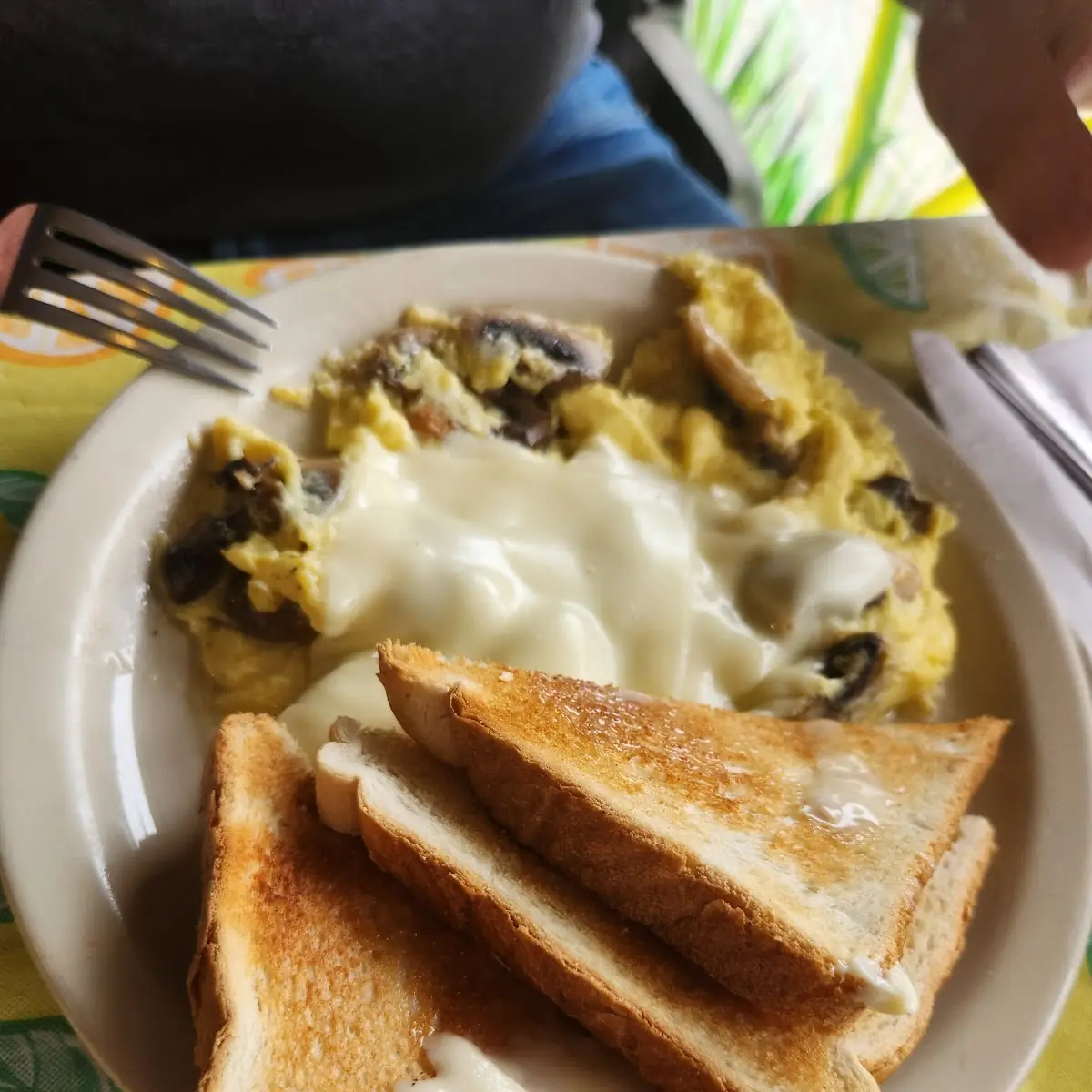 Mushroom and Cheese Omelet