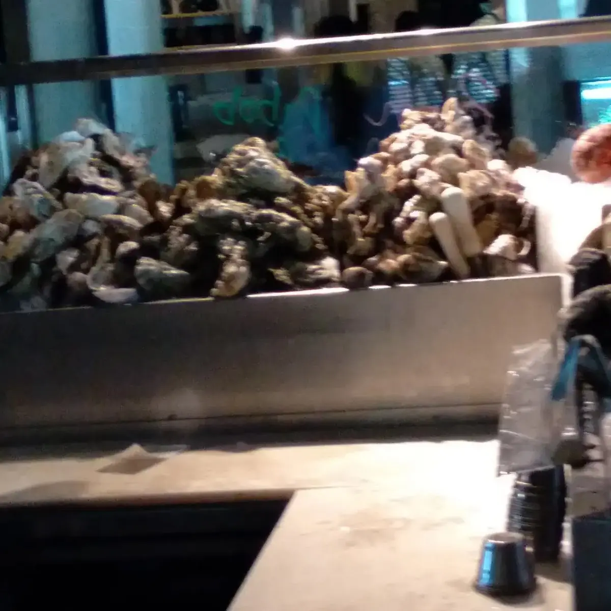 Fresh Oysters