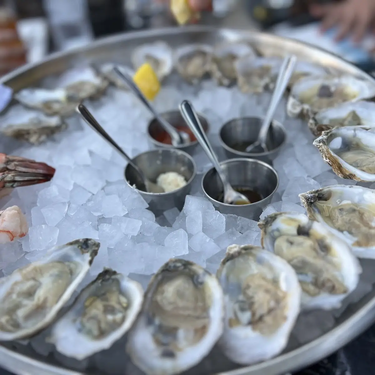 Oysters on the Half Shell and Shrimp