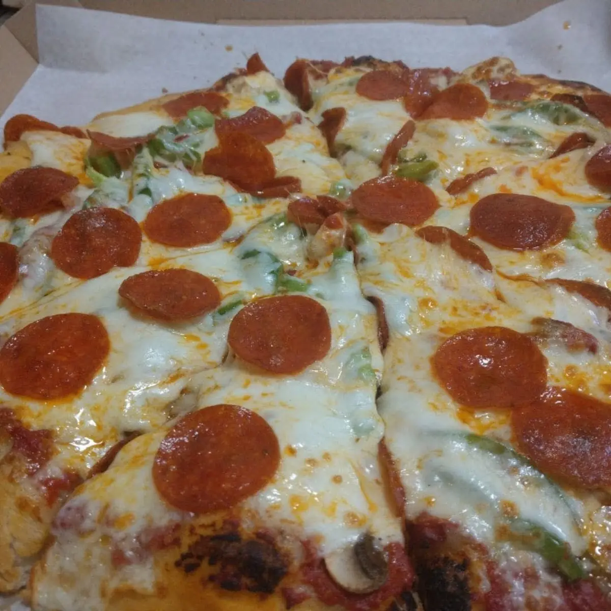 House Specialty Pizza