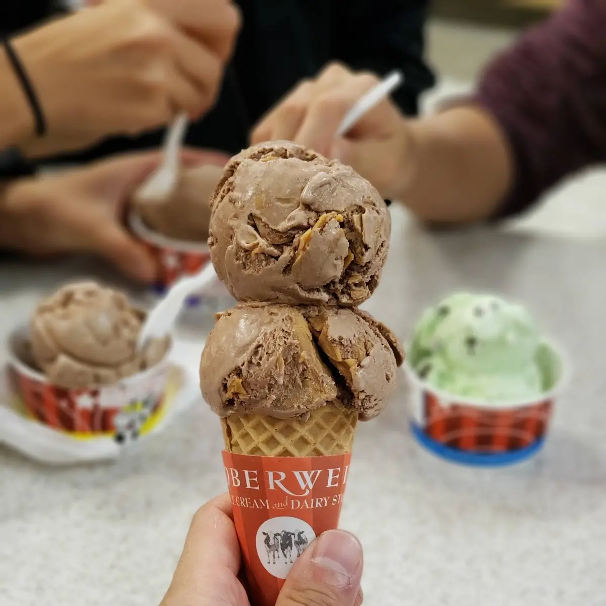 Chocolate Peanut Butter