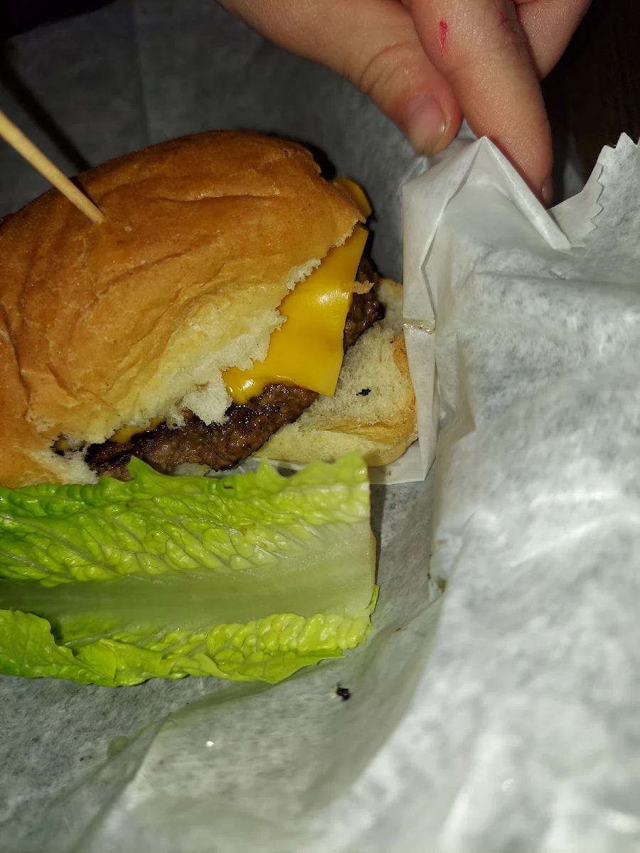 Burger with Cheese