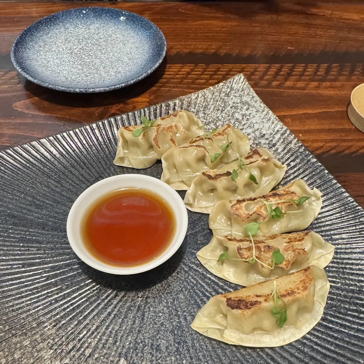 Pan-Fried Dumplings with Dipping Sauce
