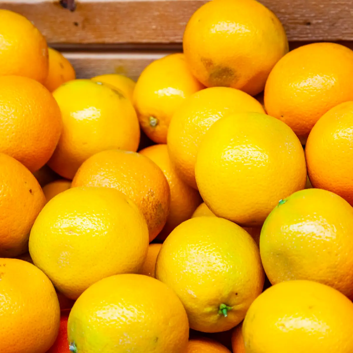 Fresh-Squeezed Orange Juice