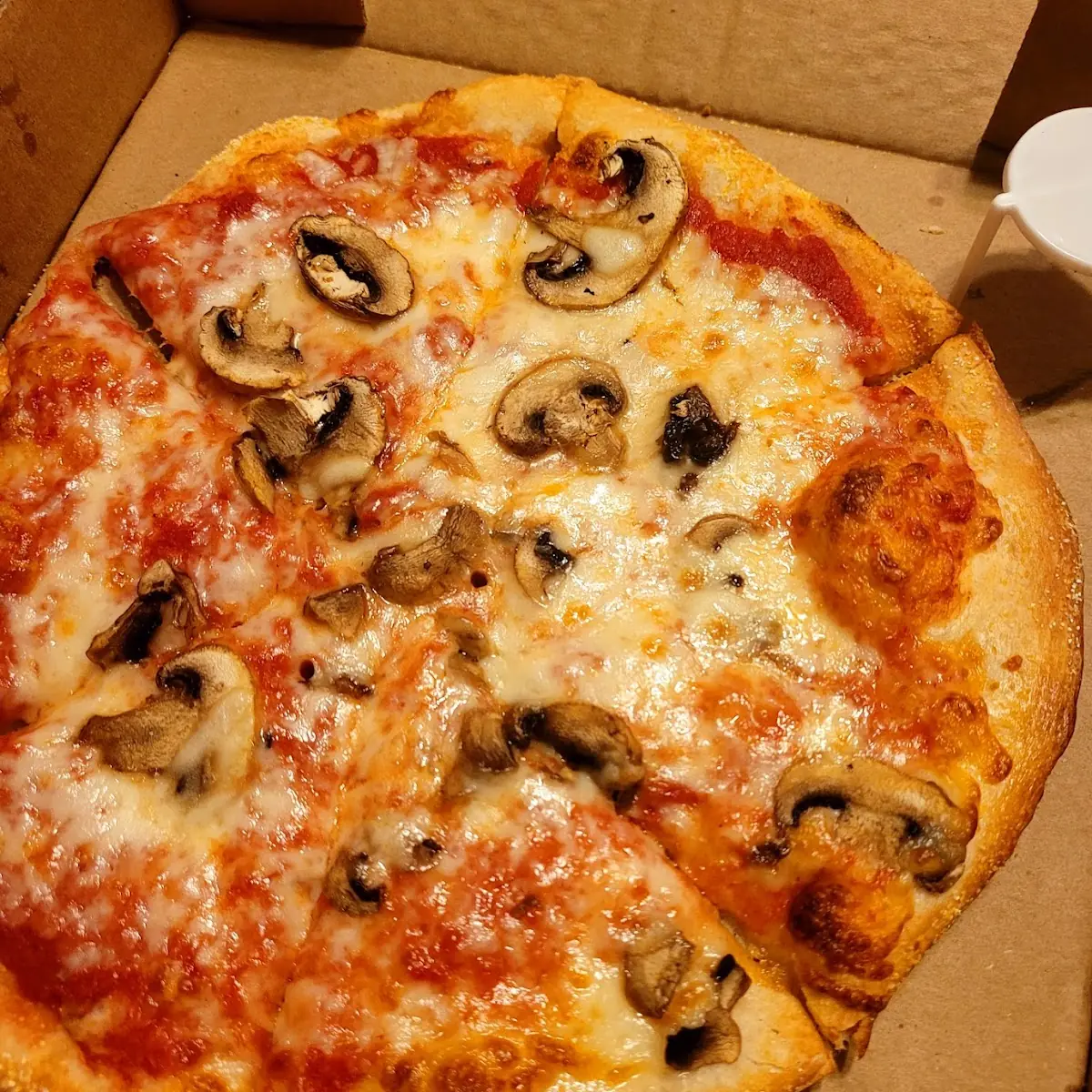 Mushroom Pizza