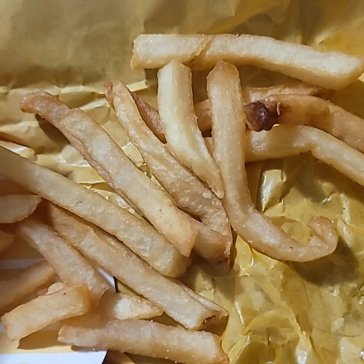 World Famous Fries
