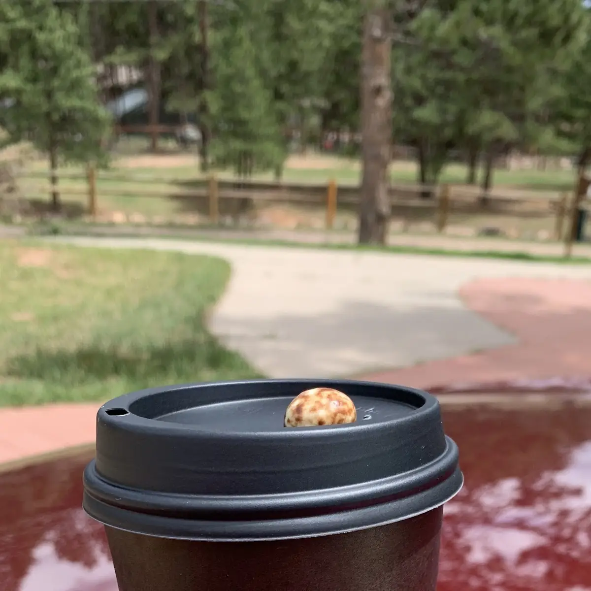 Dirty Chai Latte