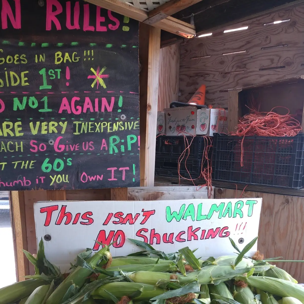 Sweet Corn
