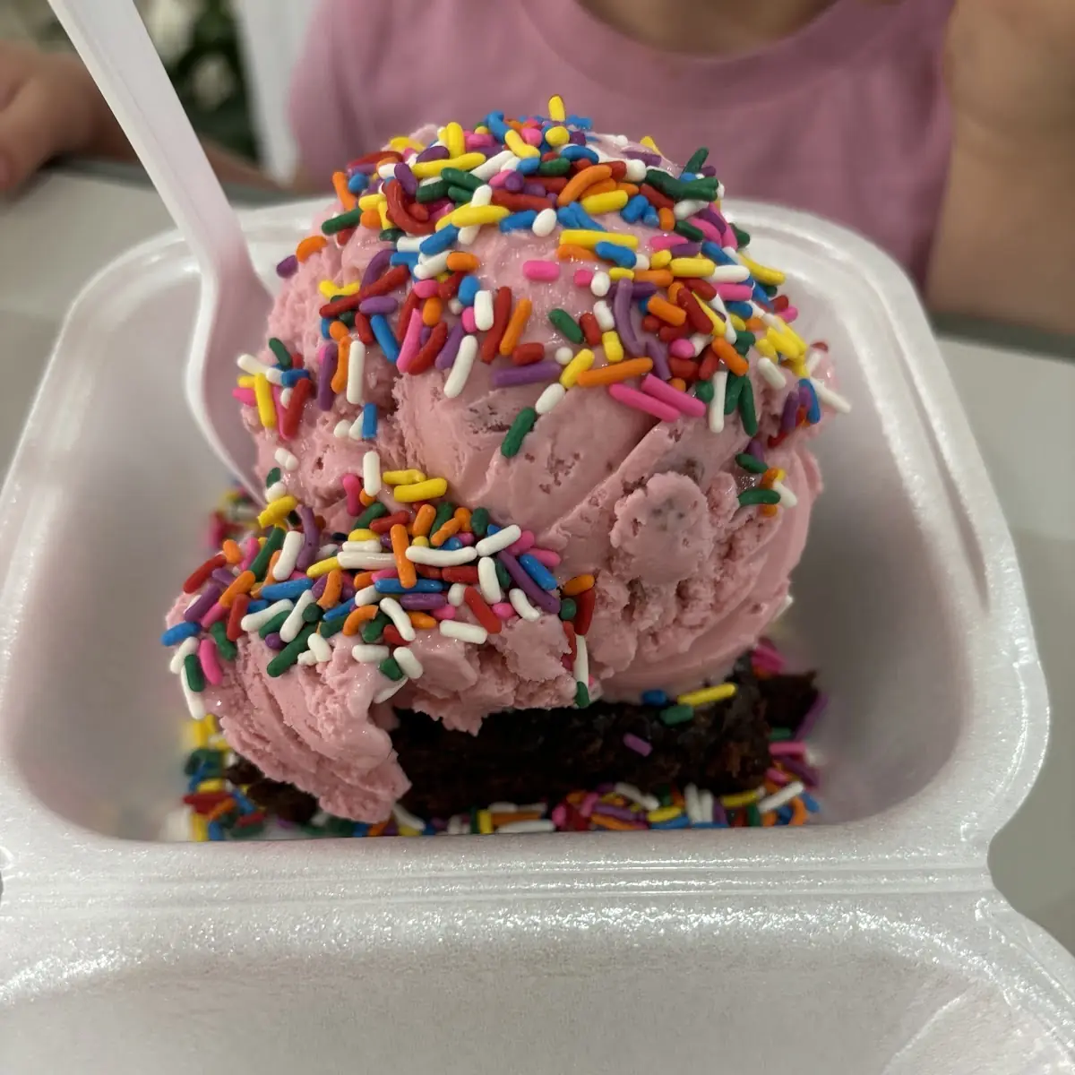 Brownie with Strawberry Ice Cream
