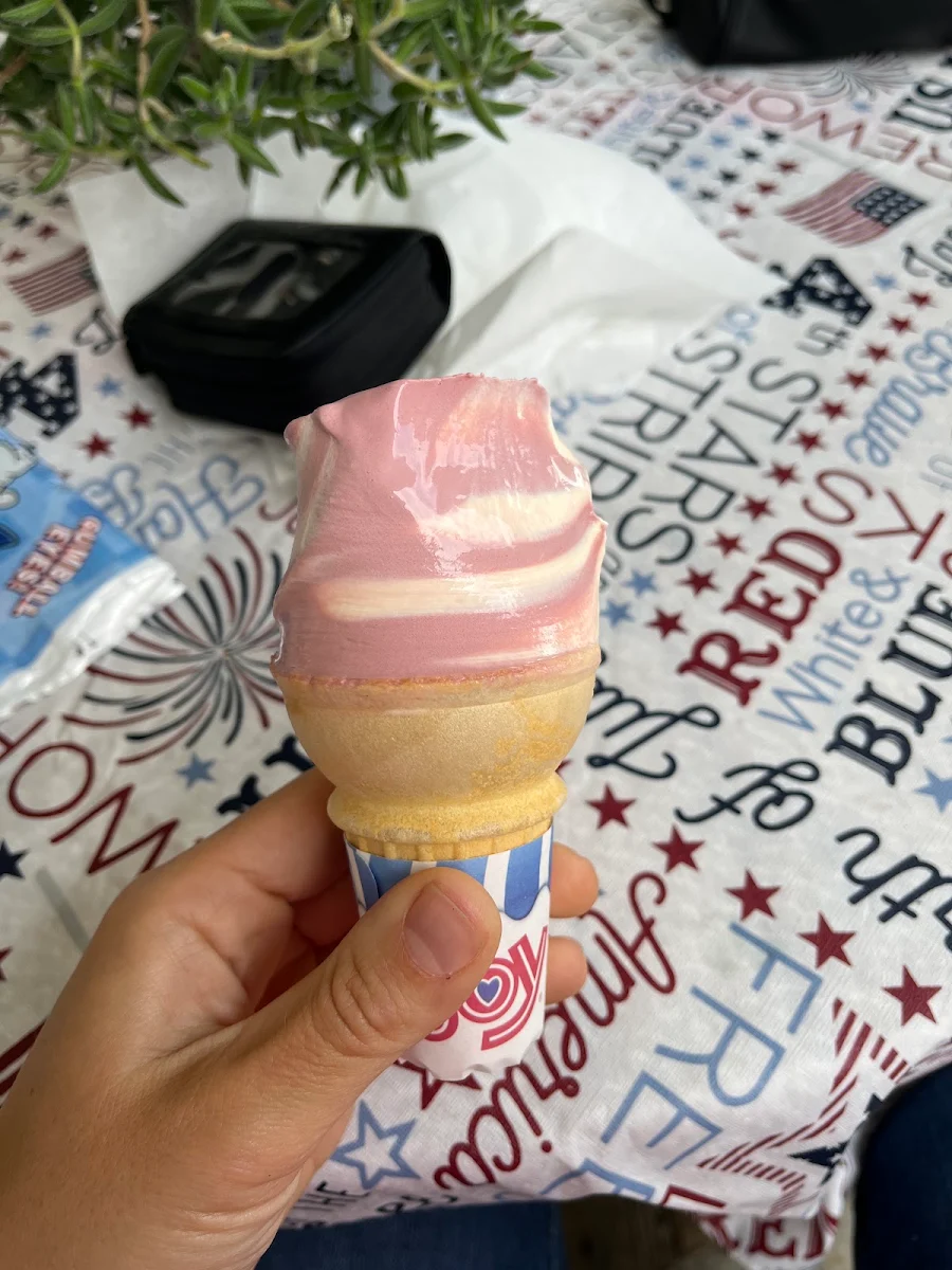 Black Cherry and Vanilla Frozen Yogurt