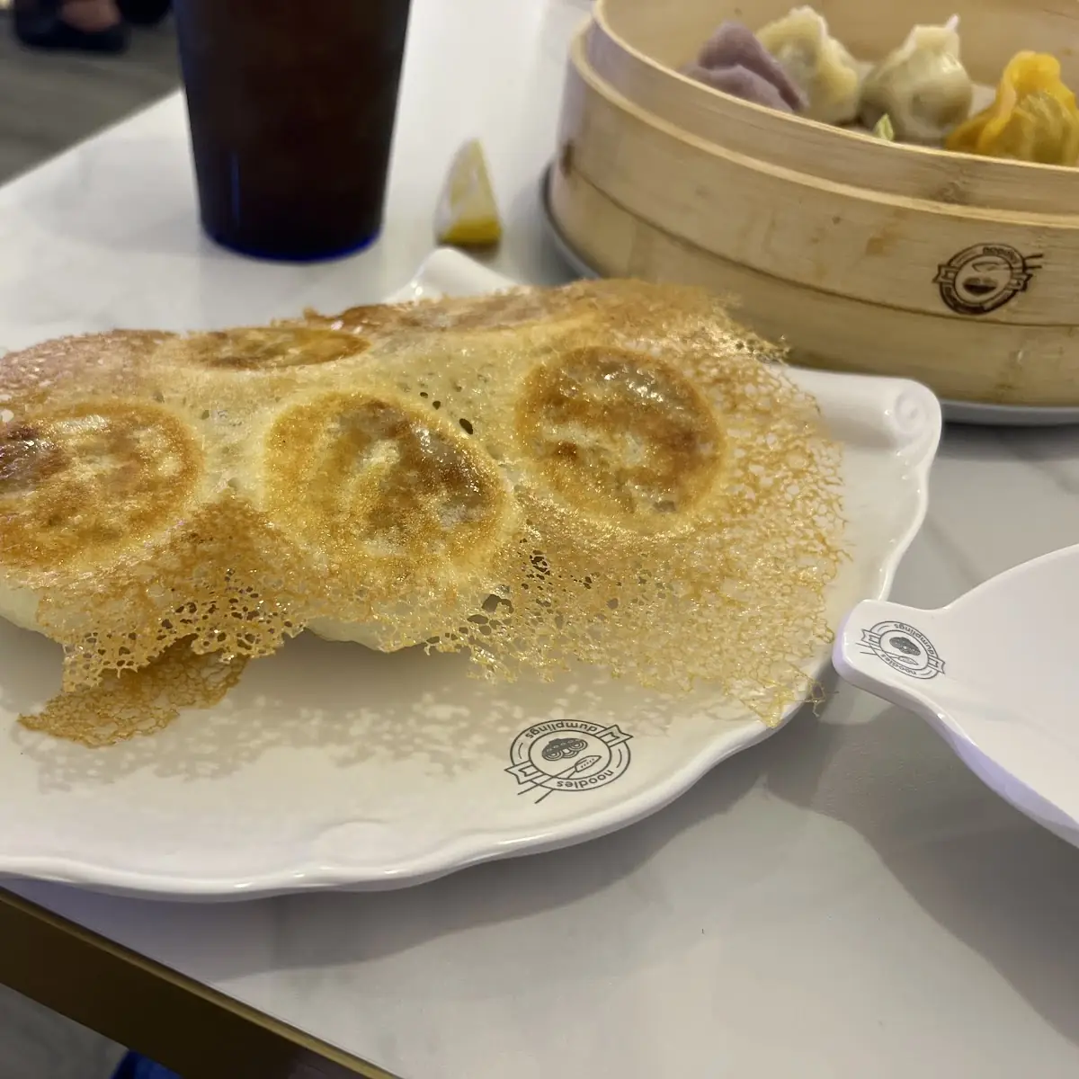 Pan Fried Beef and Onion Dumplings