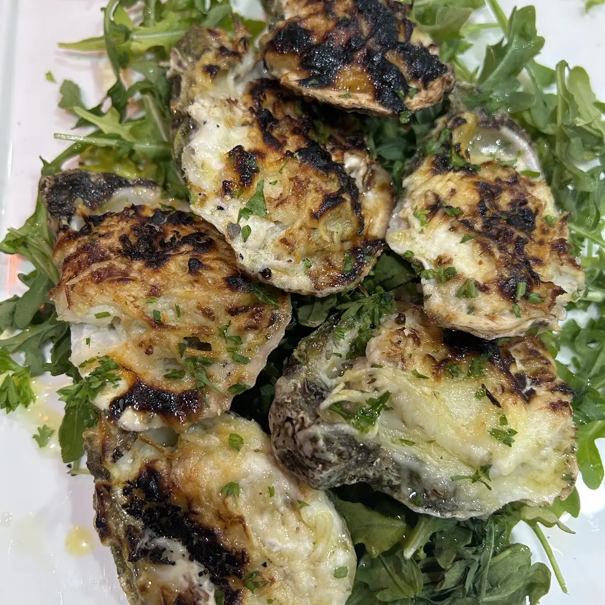 Creole Crab Stuffed Oysters Rockefeller