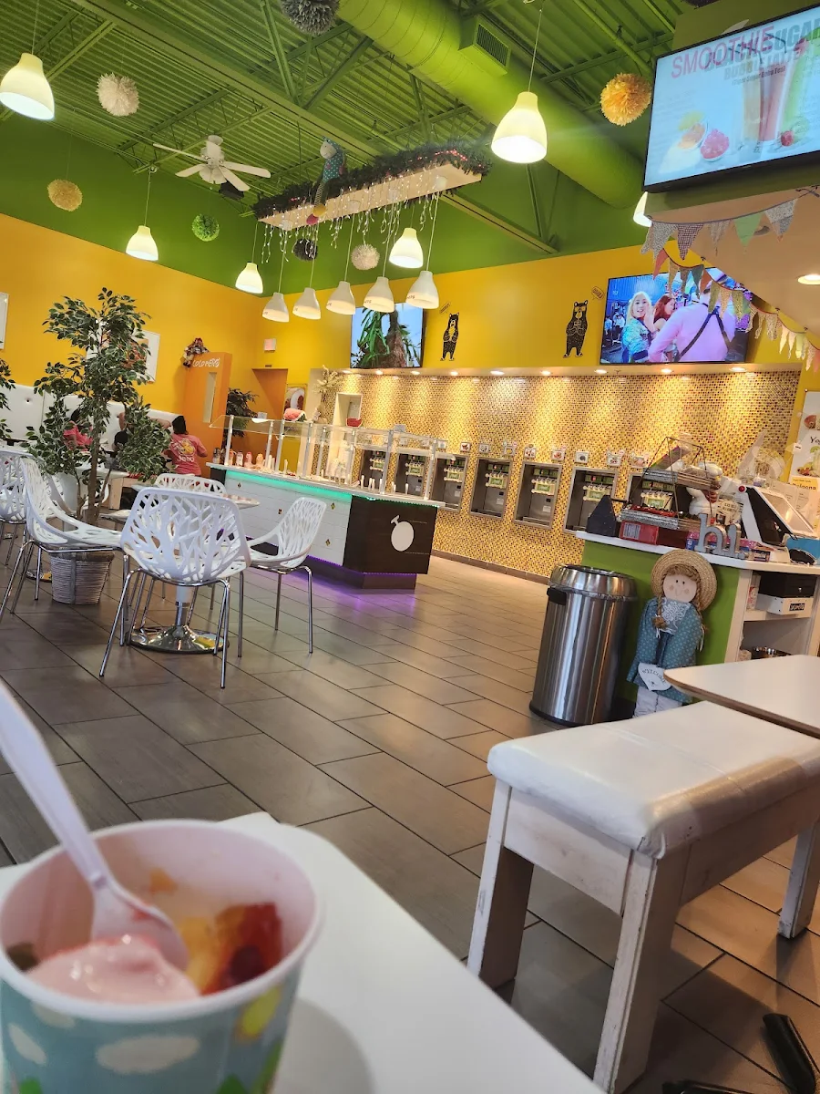 Frozen Yogurt Vanilla Bean and Cheese Cake