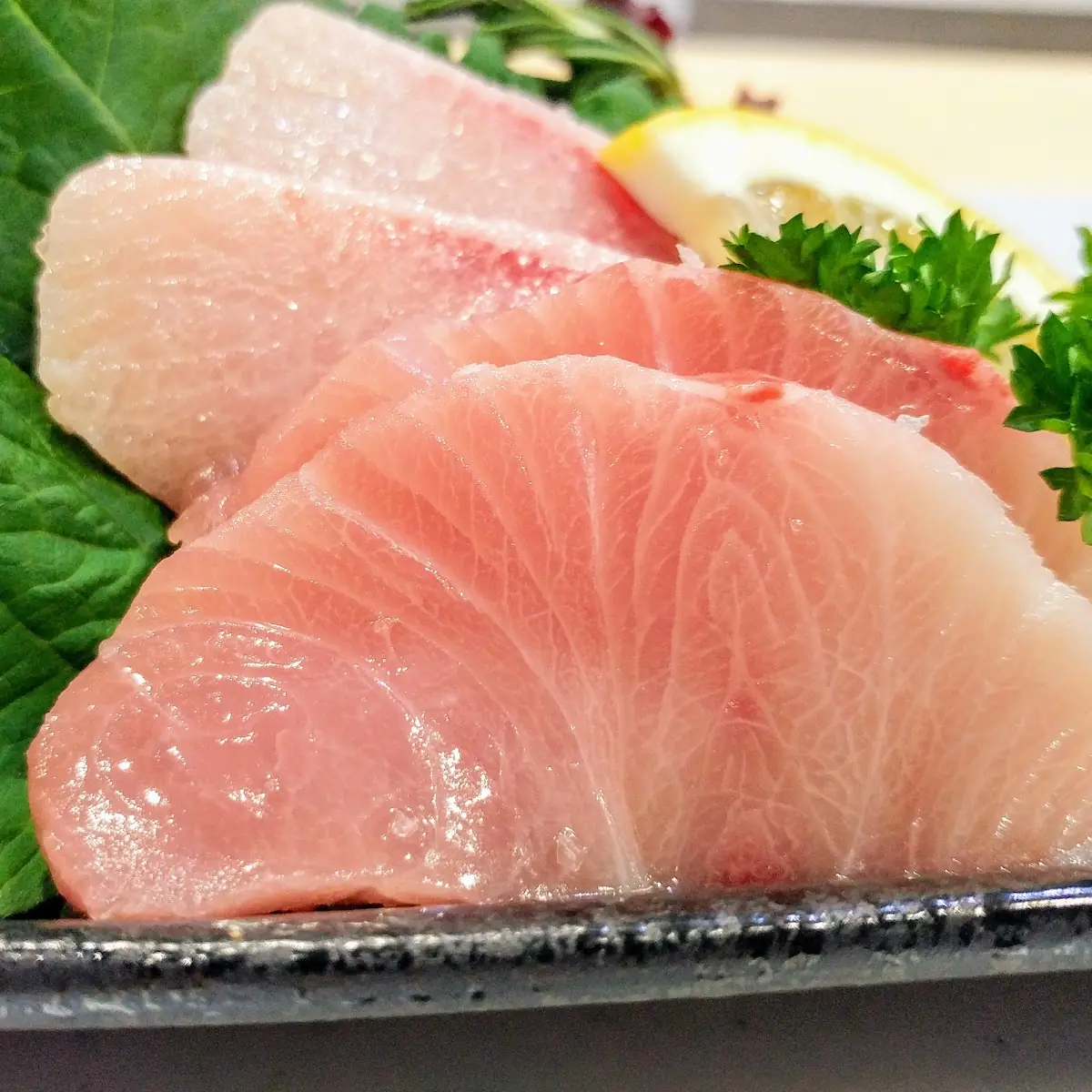 Hamachi Yellowtail Sashimi
