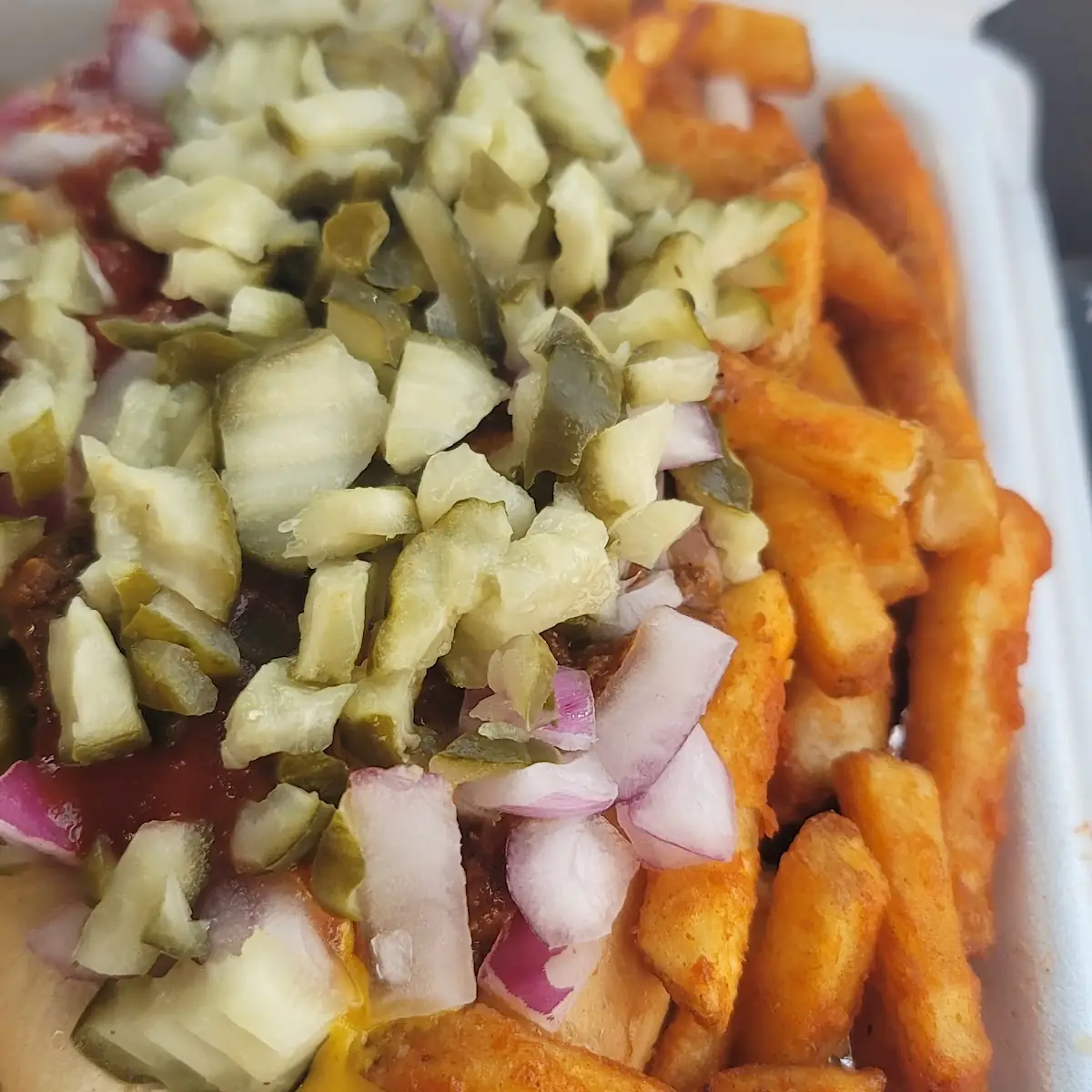 Hot Dog and Fries