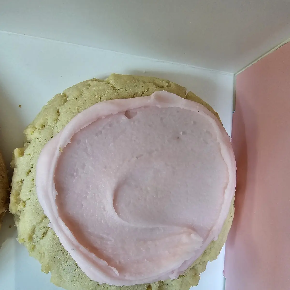 Sugar Cookie