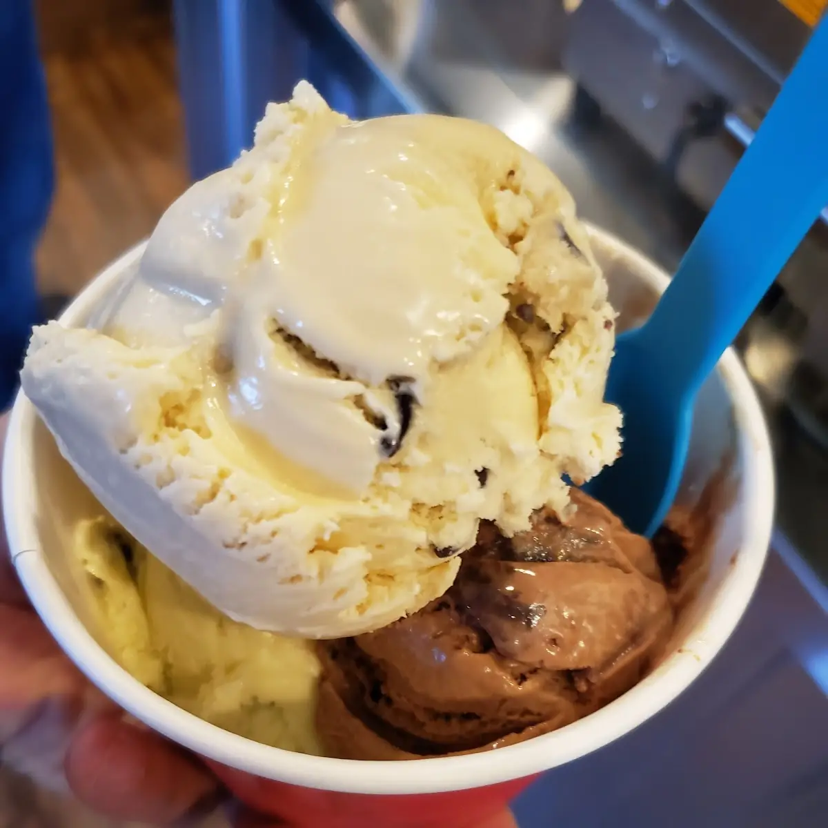 Brown Sugar Cookie Dough Garden Mint Chip Chocolate Fudge Brownie