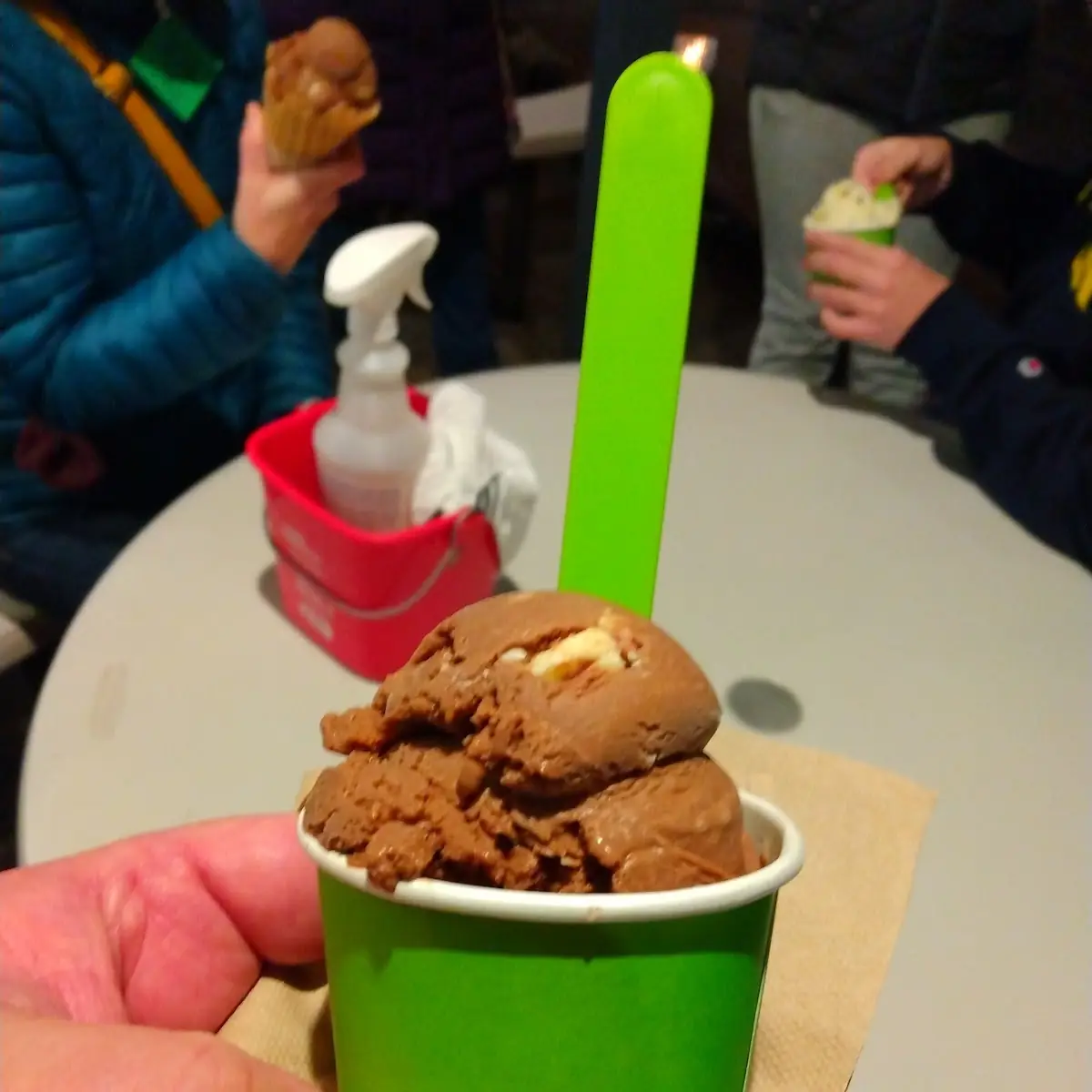 Chocolate Peanut Butter Ice Cream