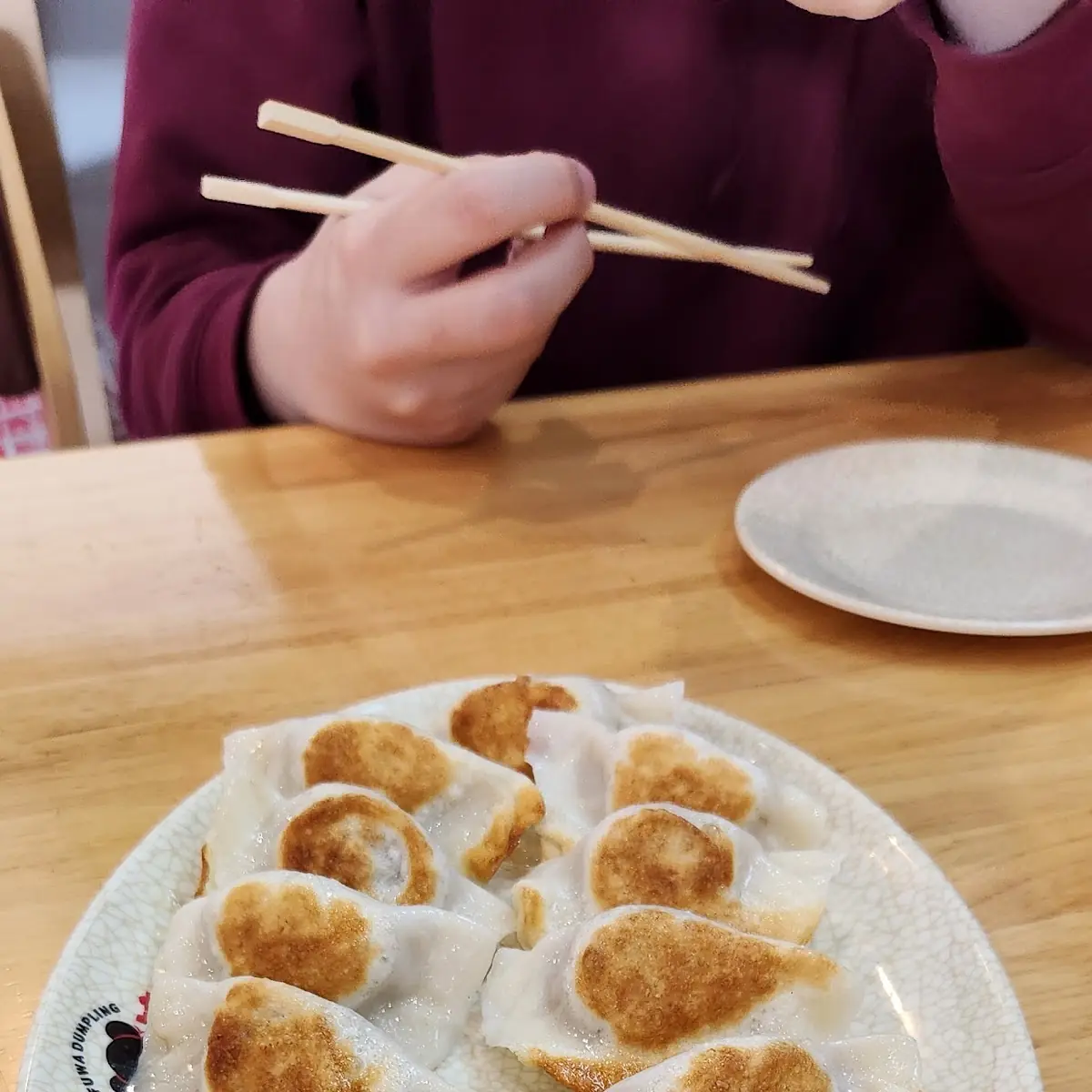 Beef & Onion Pan Fried Dumpling
