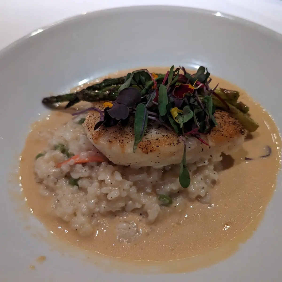 Chilean Sea Bass