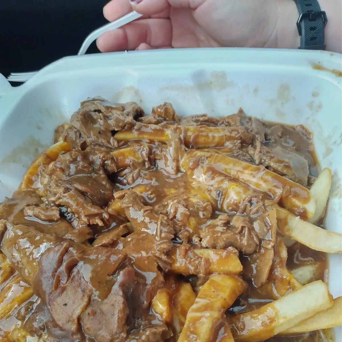 Gravy Cheese Fries