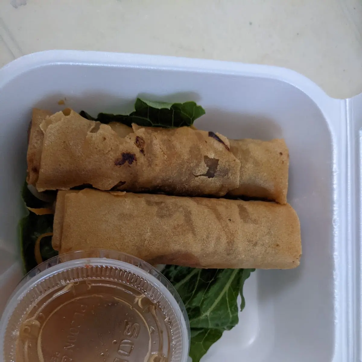 Vietnamese Spring Roll