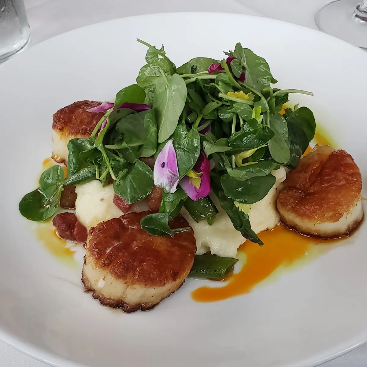 Sea Scallops