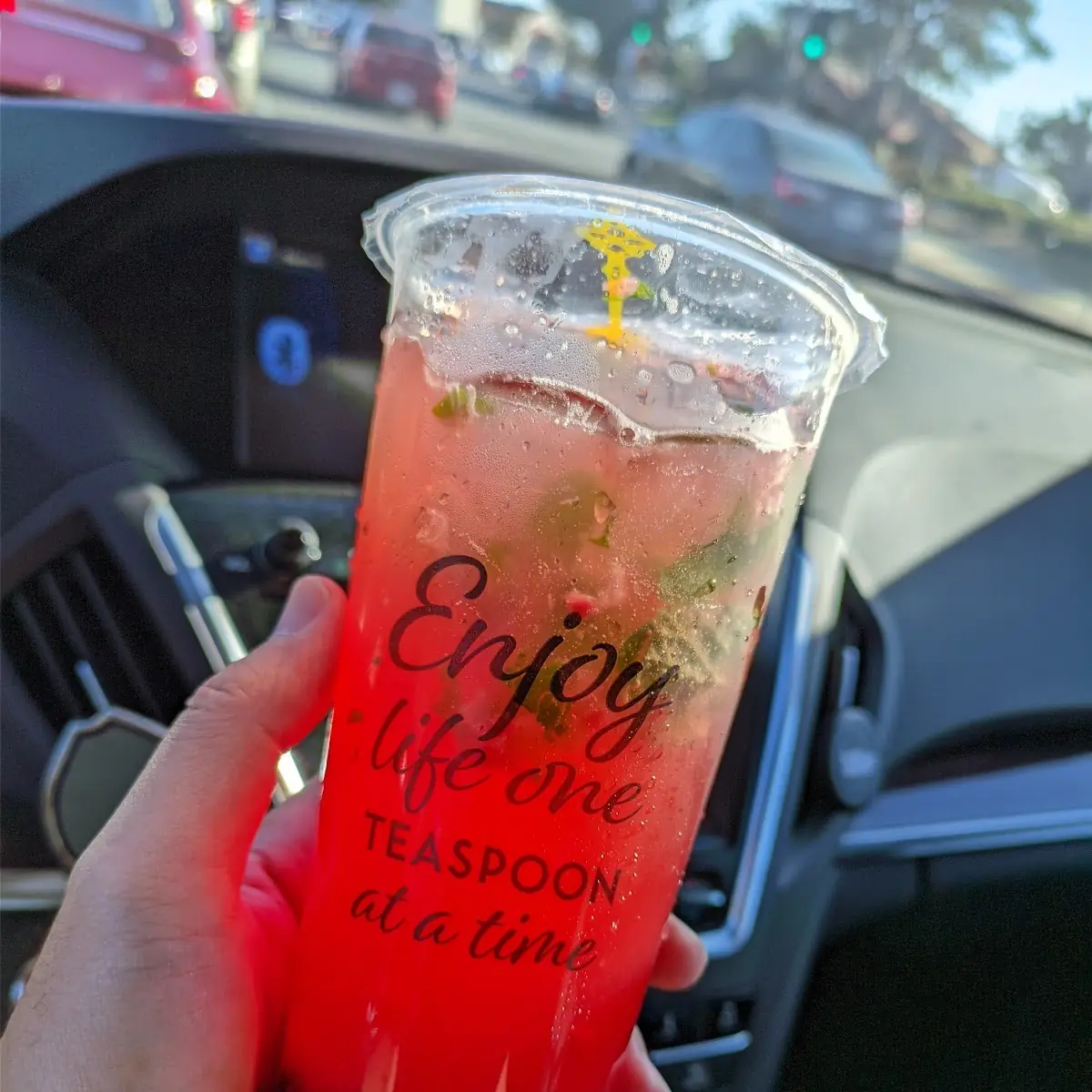 Raspberry Mojito