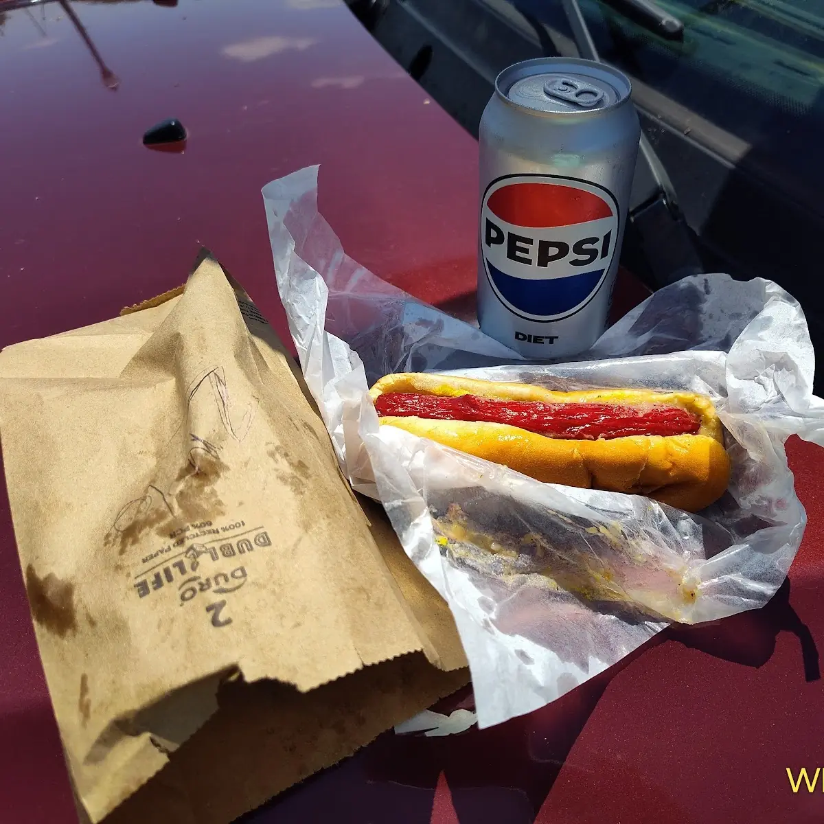 Bill's Famous Chili Dog