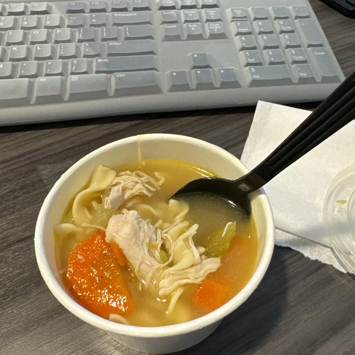 Chicken Noodle