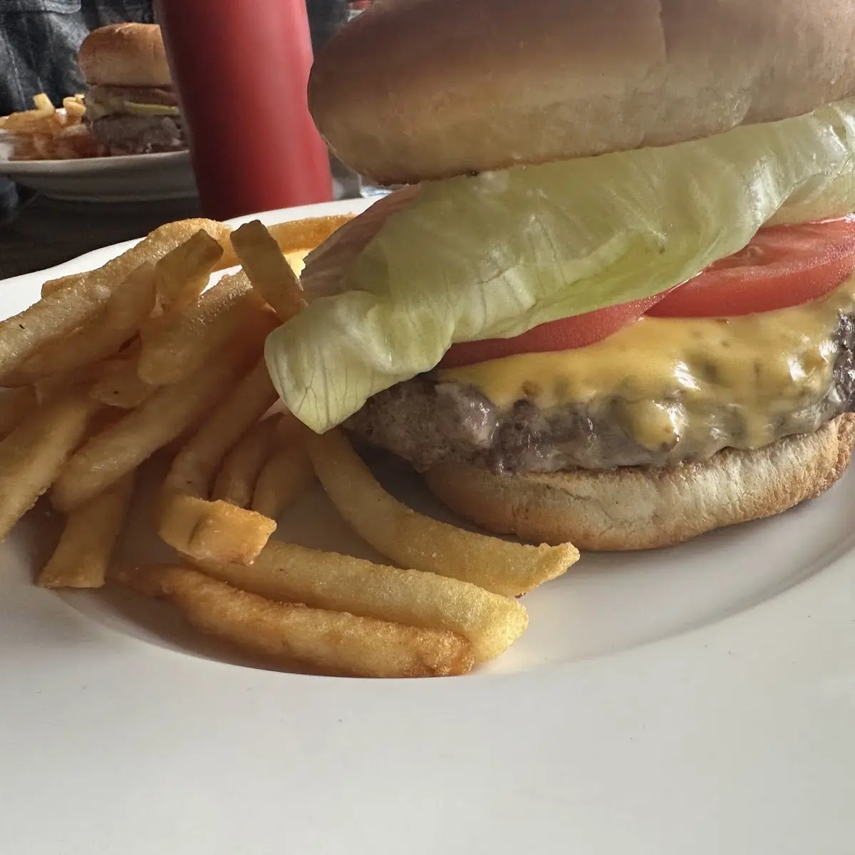 Cheese Burger and Fries