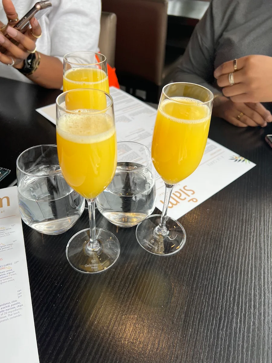 Mimosa, Siam DIX30