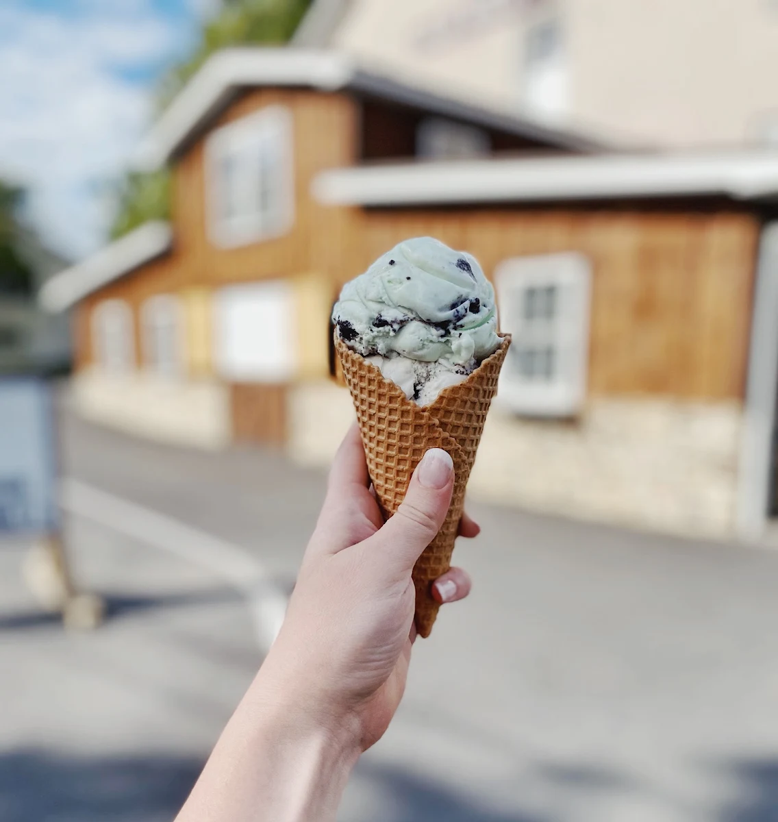 Mint Chocolate Chip Waffle Cone