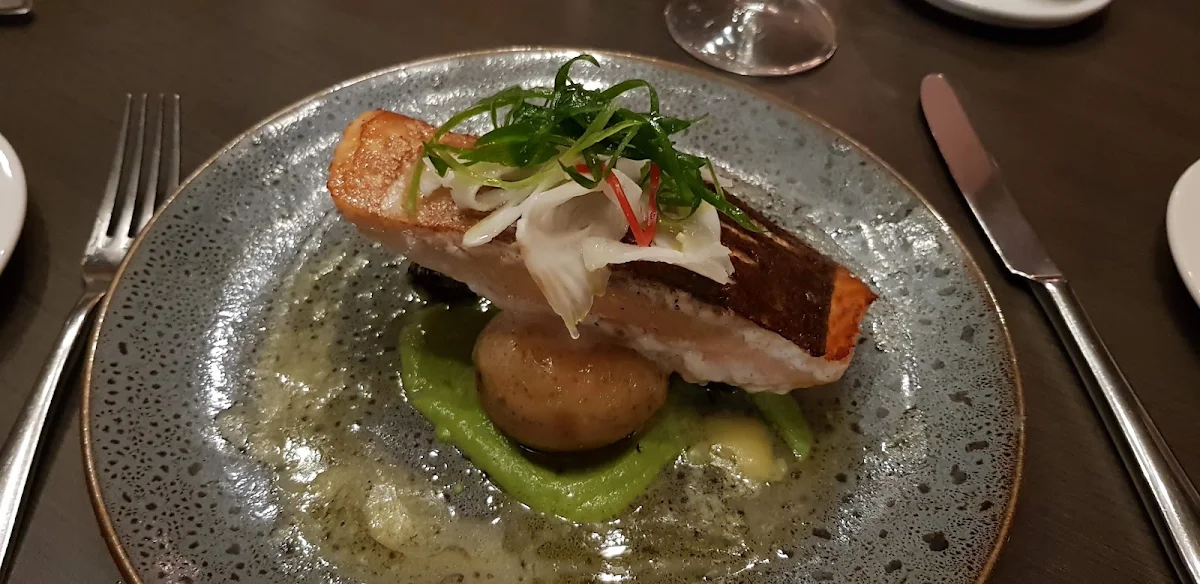Tasmania Salmon