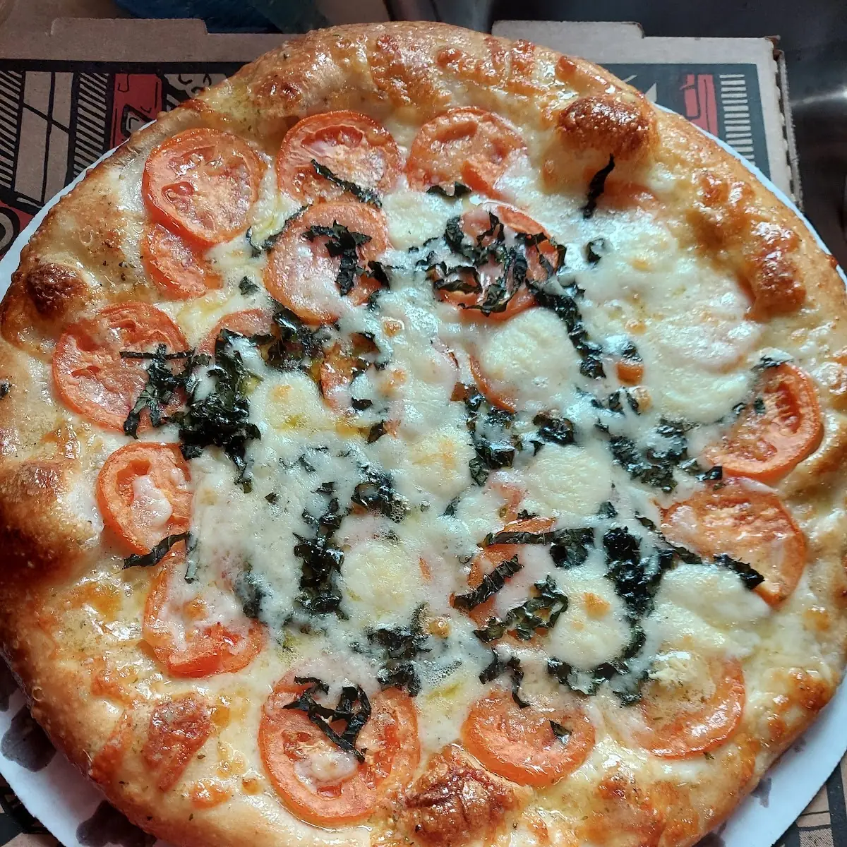 Just Baked Margherita Pizza