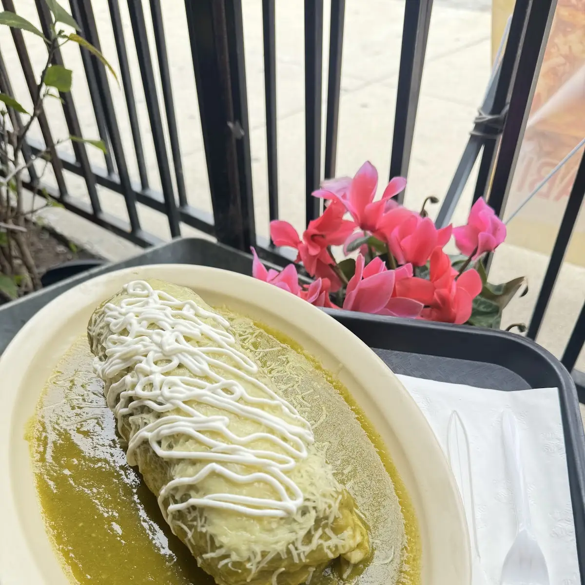 Burrito Mojado