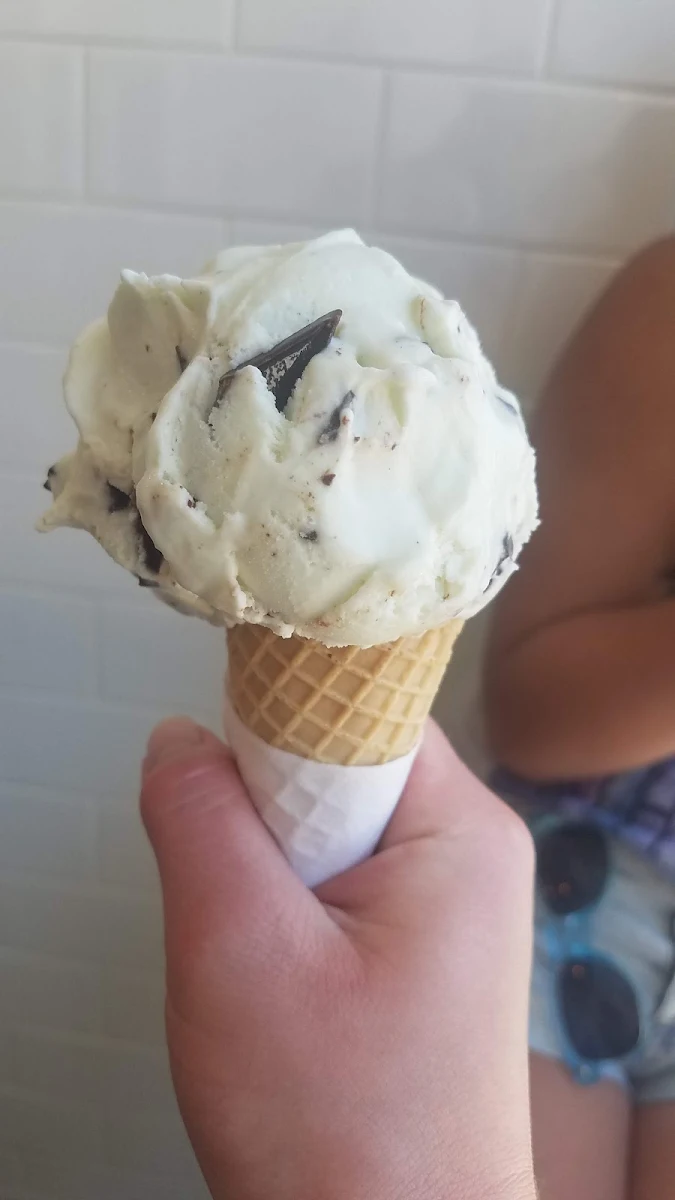 Mint Chocolate Chip Ice Cream on a Sugar Cone