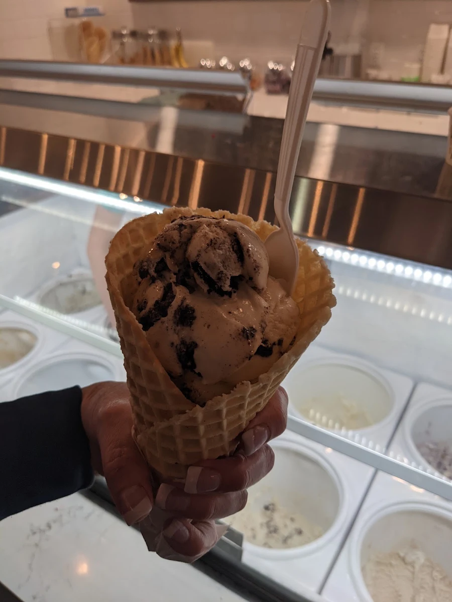 Salted Caramel Oreo Waffle Cone