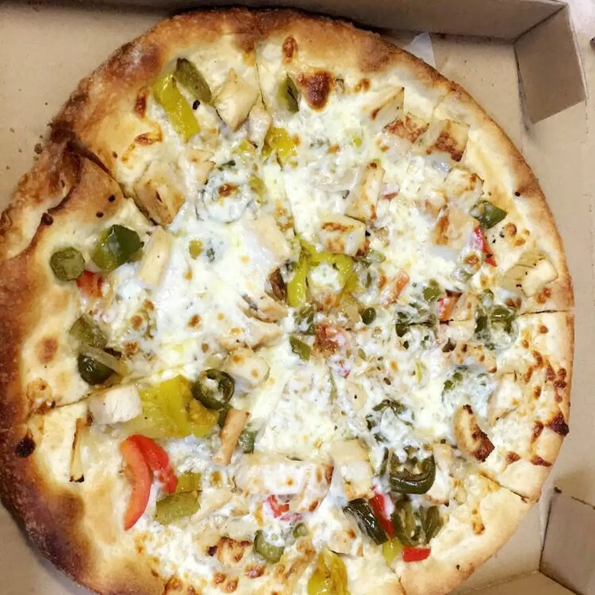 Chicken Fajita Pizza 16