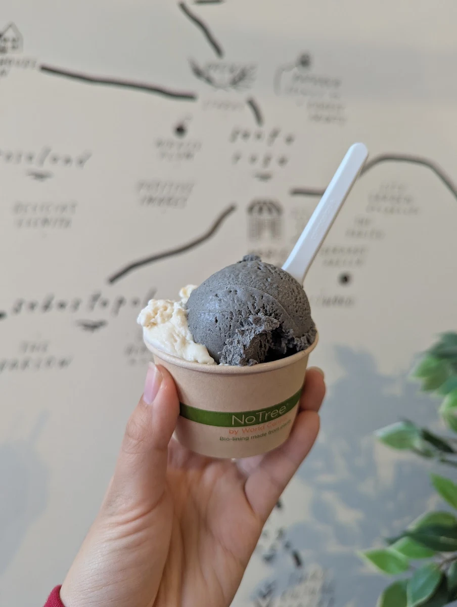 Black Sesame & Vanilla Bean