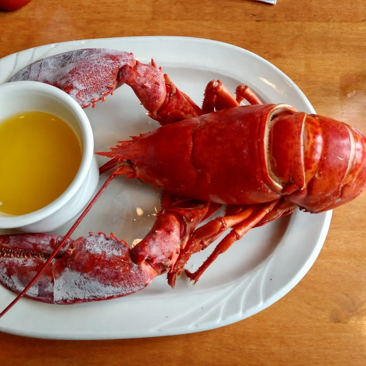 Whole Steamed Lobster and Butter Sauce