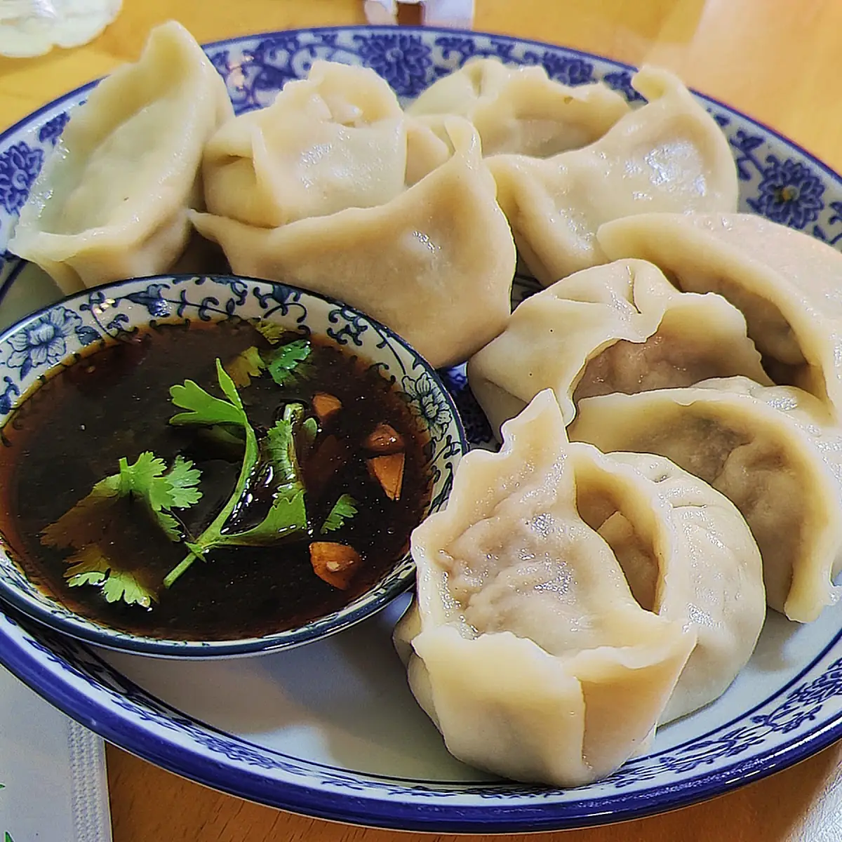 Chicken Dumplings