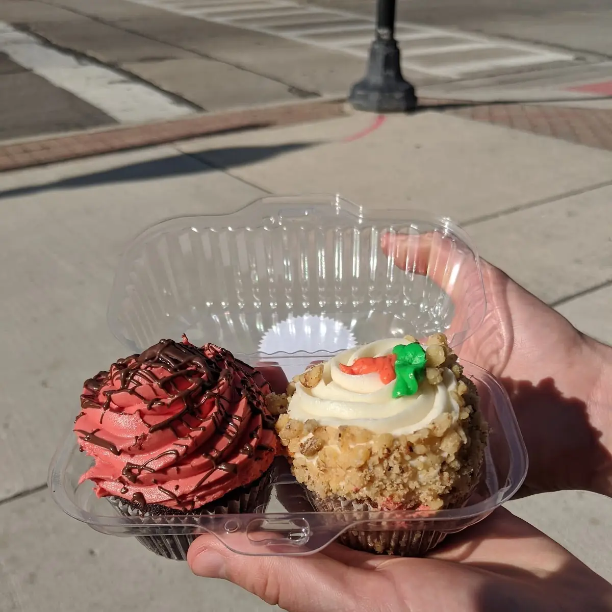 Carrot Cake Cupcake and Chocolate Raspberry Cupcake