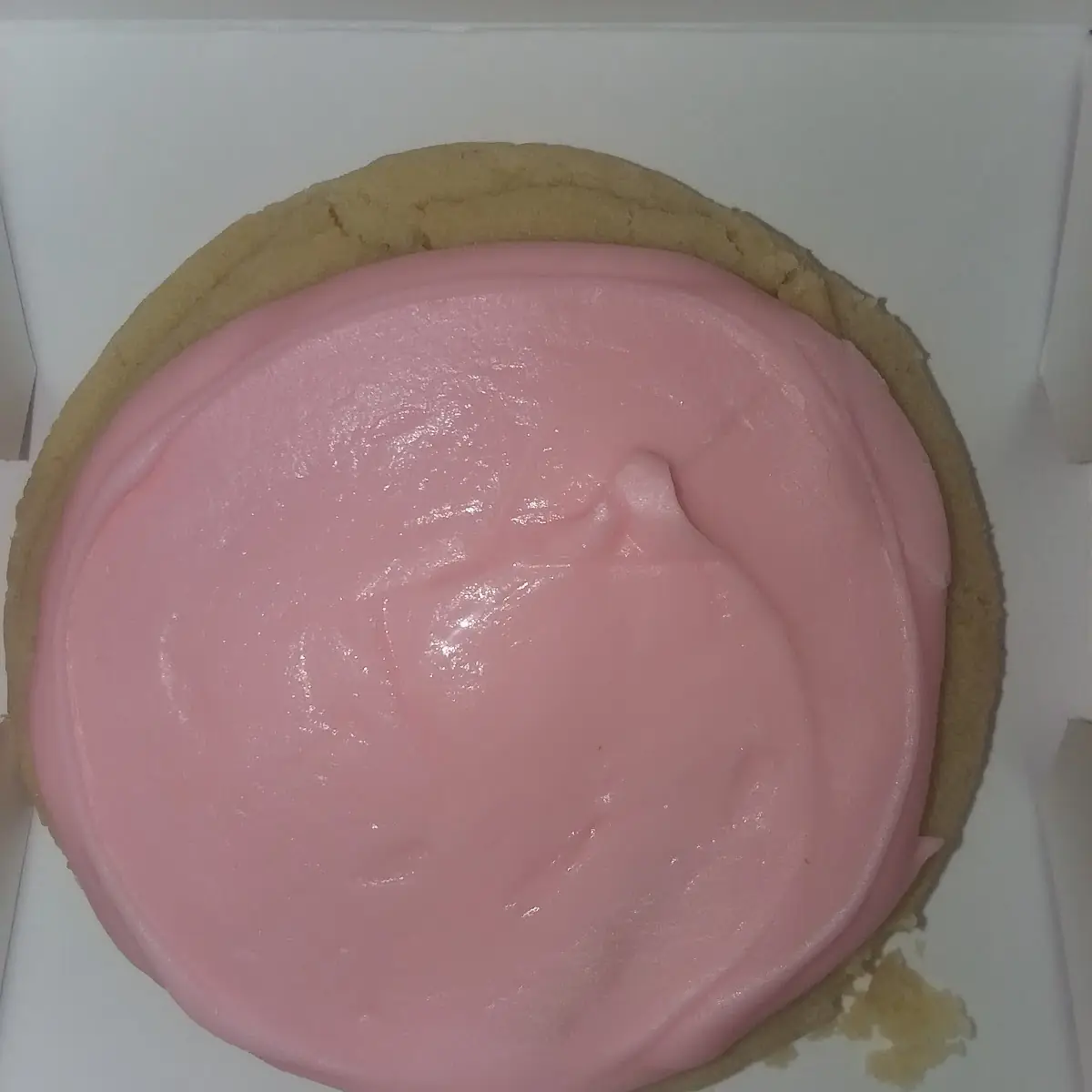 Sugar Cookie