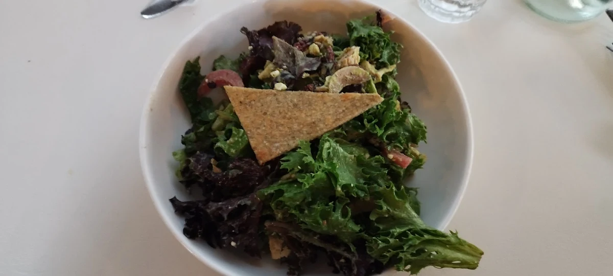 Chicken Salad