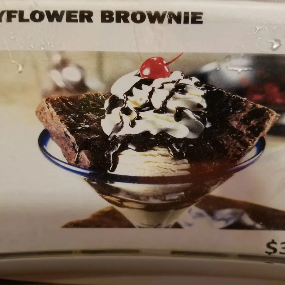 Mayflower Brownie Sundae