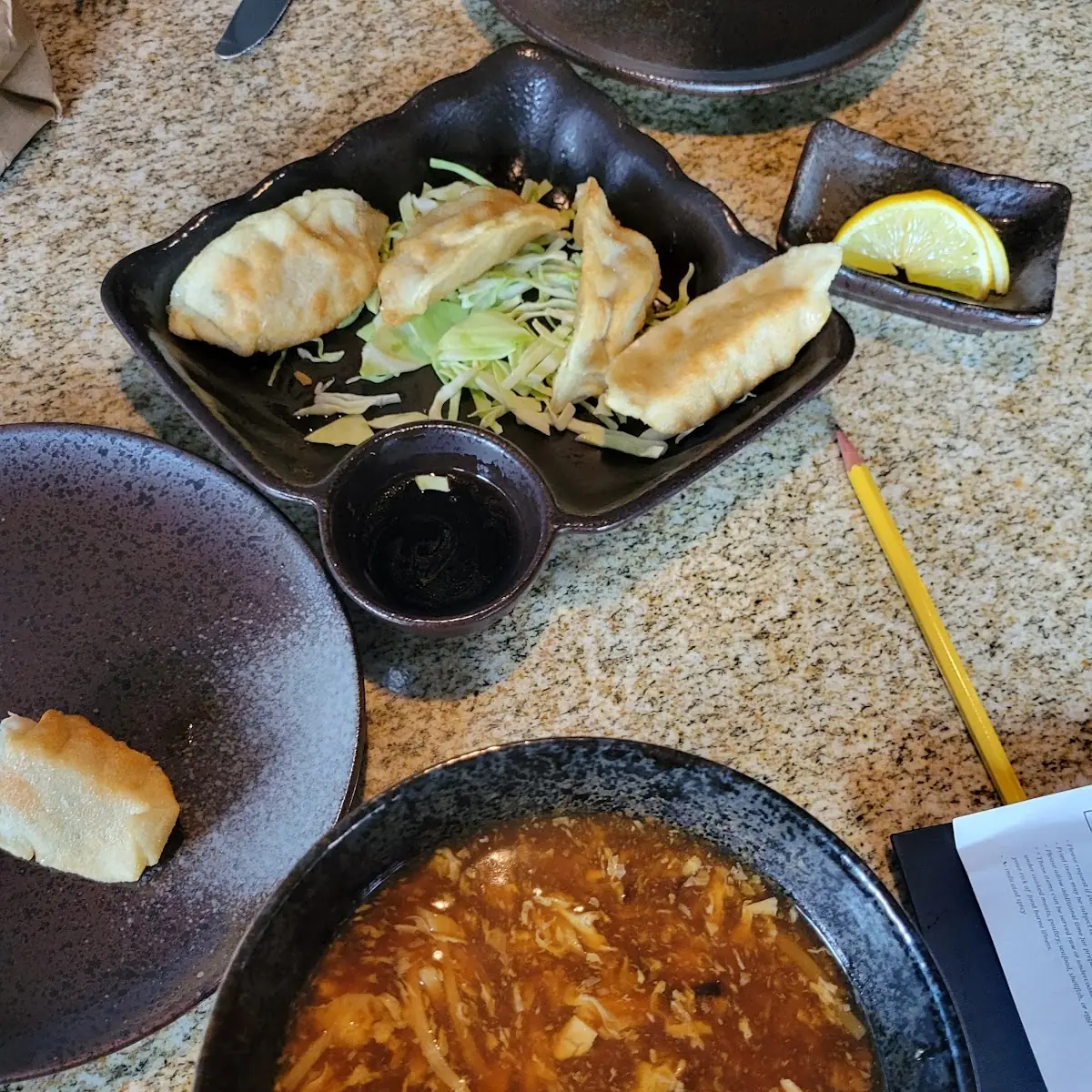 Pot Stickers and Hot and Sour Soup