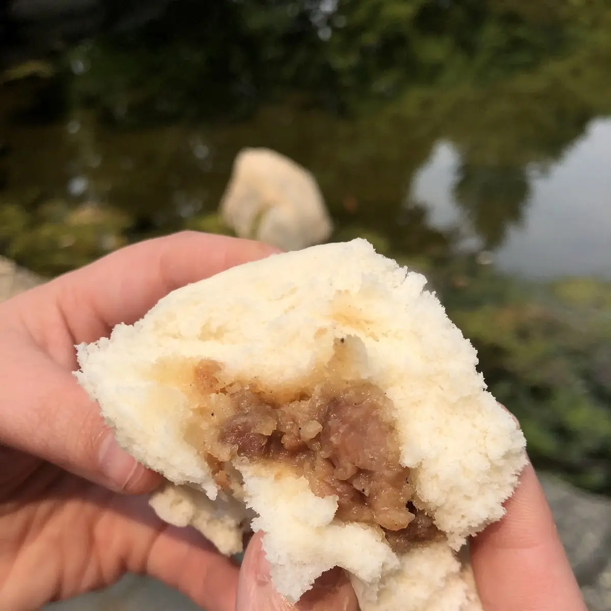 Pork Bao